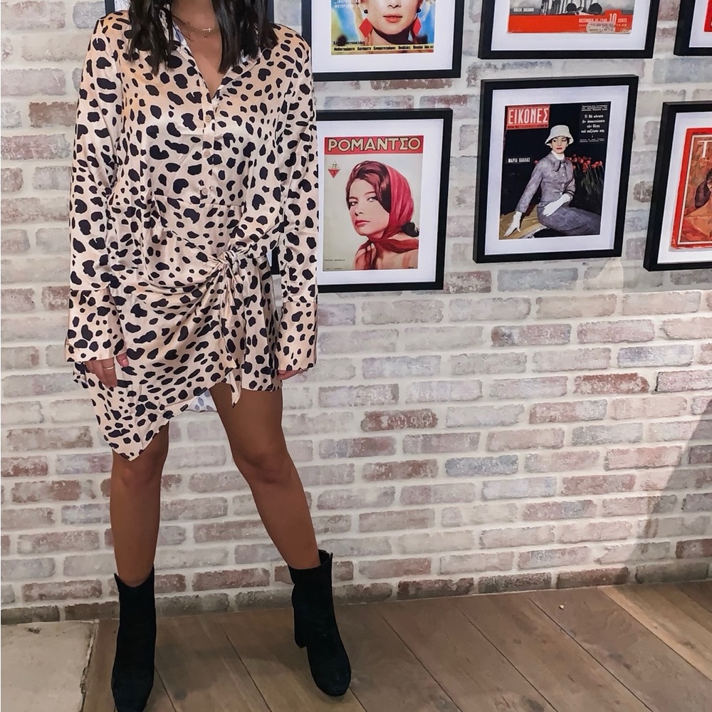 Like New Aqua Leopard Dress